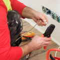 Replacing an Outlet or Switch: A Comprehensive Guide to DIY Electrical Repairs